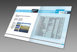 上海瑭晟環(huán)保技術(shù)產(chǎn)品畫冊與浙江中建網(wǎng)絡(luò)科技股份 專業(yè)網(wǎng)站建設(shè)服務(wù)指南